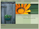 country living sample website